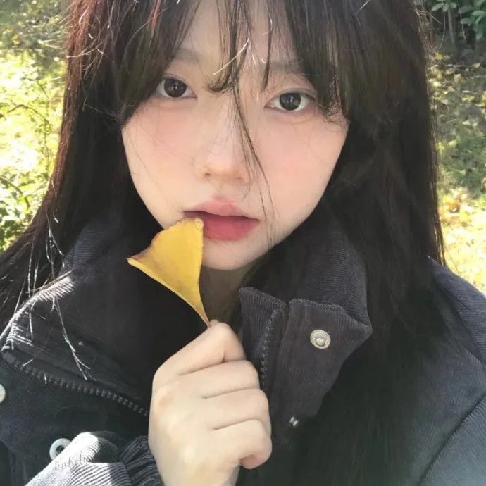 社畜向前冲